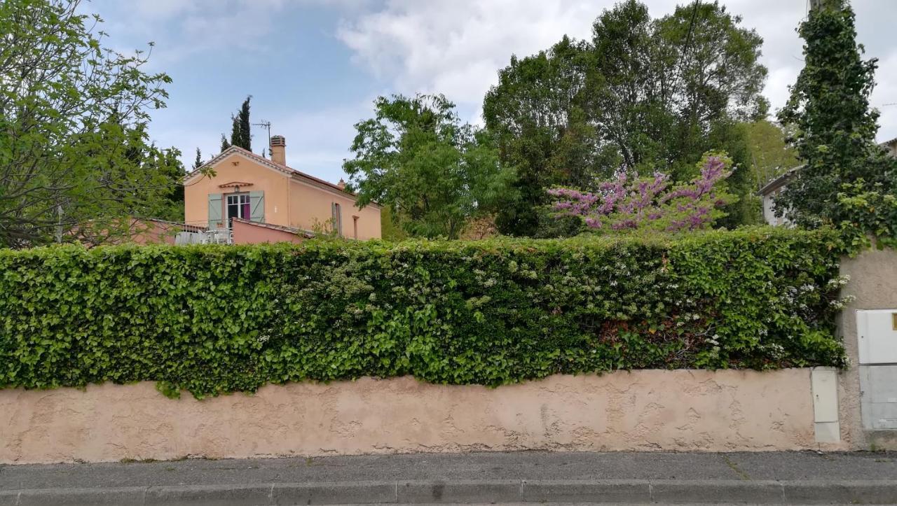 Bed and Breakfast LOLIFAN en PROVENCE Brignoles Exterior foto